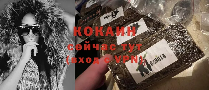 COCAIN Боливия  цена   Куса 