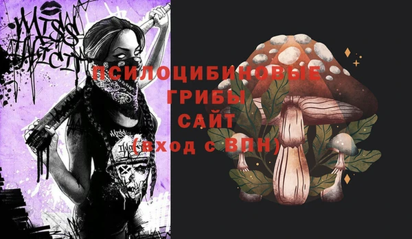 дживик Бронницы