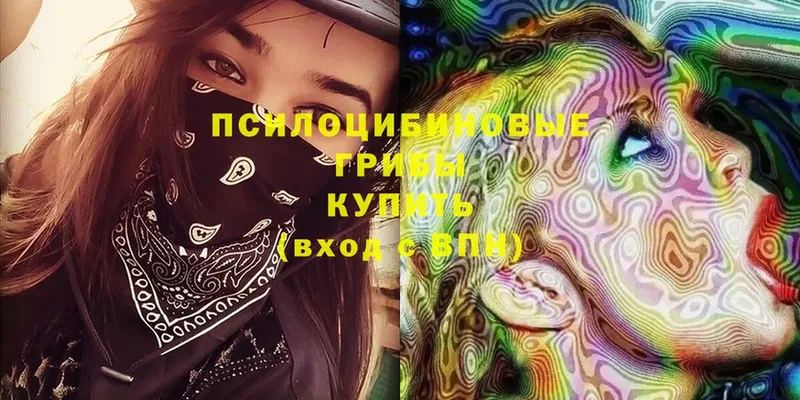 Галлюциногенные грибы мицелий  блэк спрут как зайти  Куса  как найти  