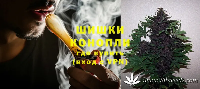 купить  цена  OMG tor  Канабис сатива  Куса 